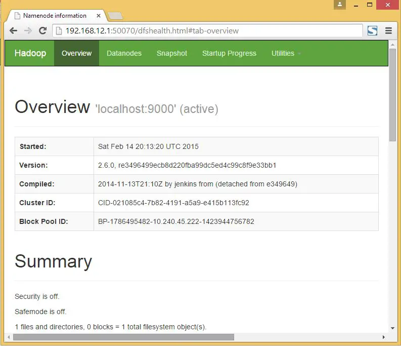 Hadoop NameNode Information