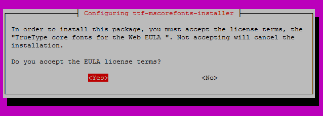 Install OnlyOffice - Agree EULA MS Fonts