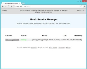 install monit centos 6.3