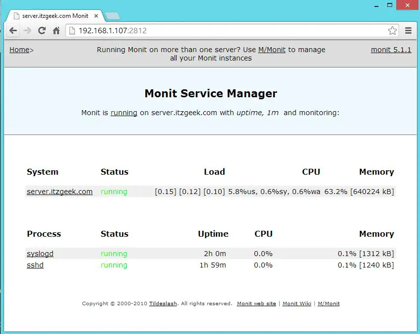 Monit With Configured Services