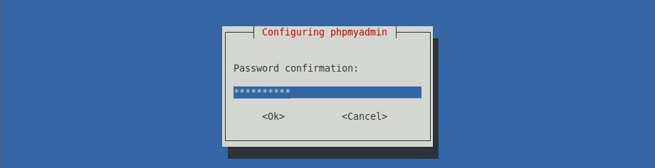 Install phpMyAdmin with Nginx on LinuxMint 19 - ReEnter Password