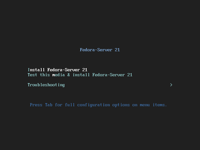 Fedora Server 21 - Select Installation