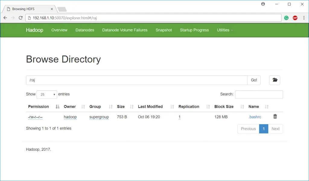 Install Apache Hadoop on Debian 9 - Hadoop FS