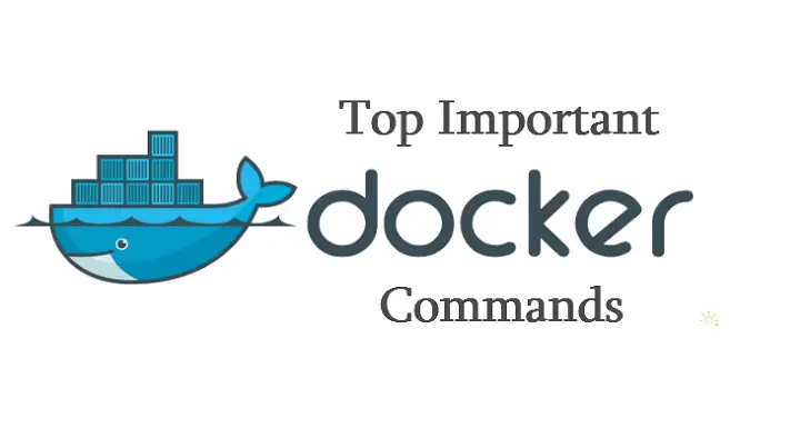 Working with Docker Containers - Command Line Interface