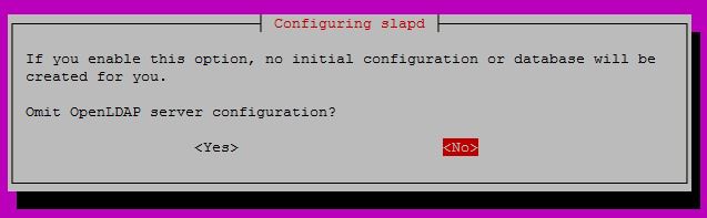 Configure OpenLDAP on Ubuntu 16.04 - Omit OpenLDAP server configuration