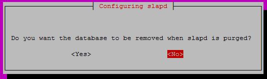 Configure OpenLDAP on Ubuntu 16.04 - Remove Database