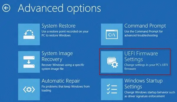 Resolve Inaccessible Boot Device Error - Advanced Options