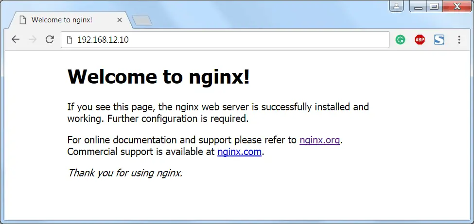 Install Nginx, MariaDB, PHP (LEMP stack) on Debian 9 - Nginx Default Page
