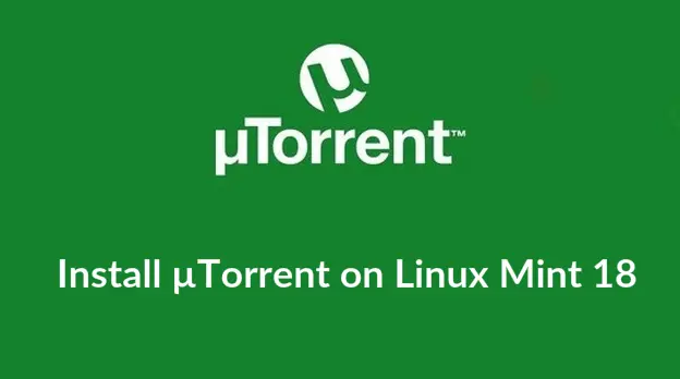 UTorrent Pro Crack 3.6.6 + Activated Free Download 2021 (Latest)