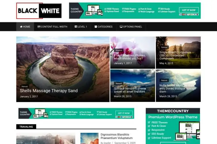 Best Free Magazine WordPress Themes - BlackWhite Lite Magazine Theme
