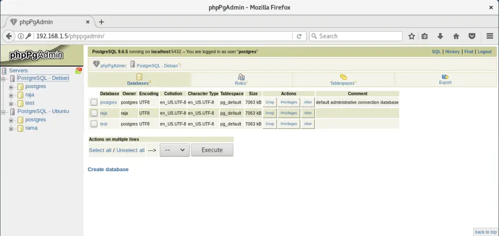 Install phpPgAdmin on Debian 9 - Logged in into Multiple PostgreSQL Instances