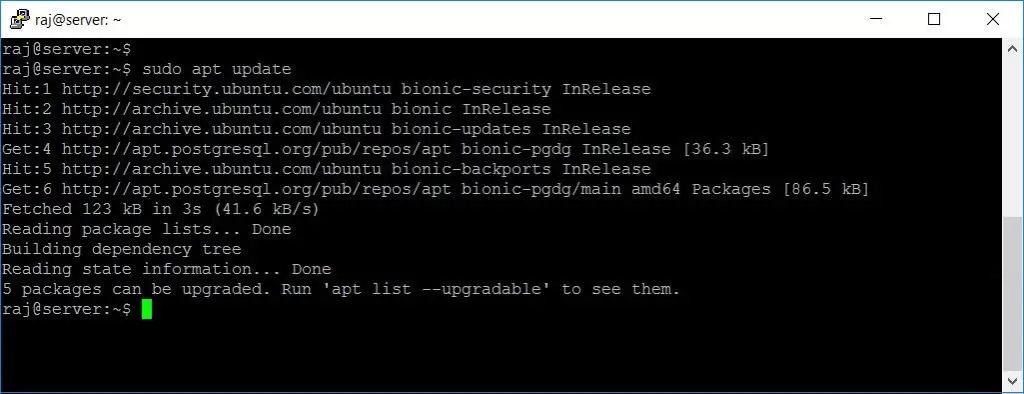 Install PostgreSQL 10 on Ubuntu 18.04 - Update Repository Information