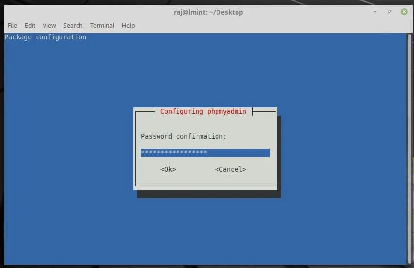 Install phpMyAdmin on Linux Mint 19 - ReEnter Password for MySQL