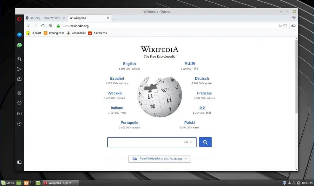 Install Opera Browser on Linux Mint 19 - Opera Browser Running on Linux Mint 19