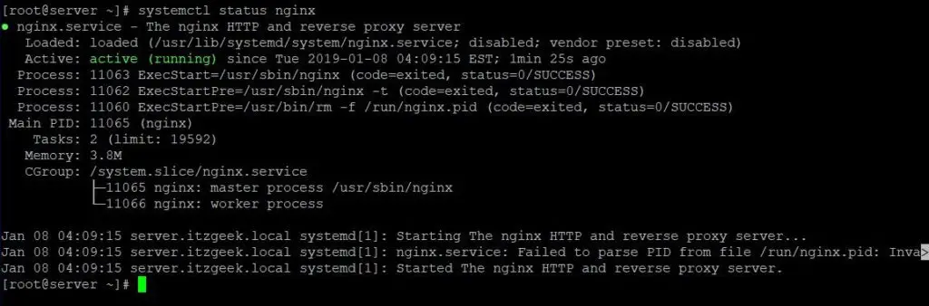 Install Linux, Nginx, MariaDB, PHP (LEMP Stack) in RHEL 8 - Nginx Web Server Status