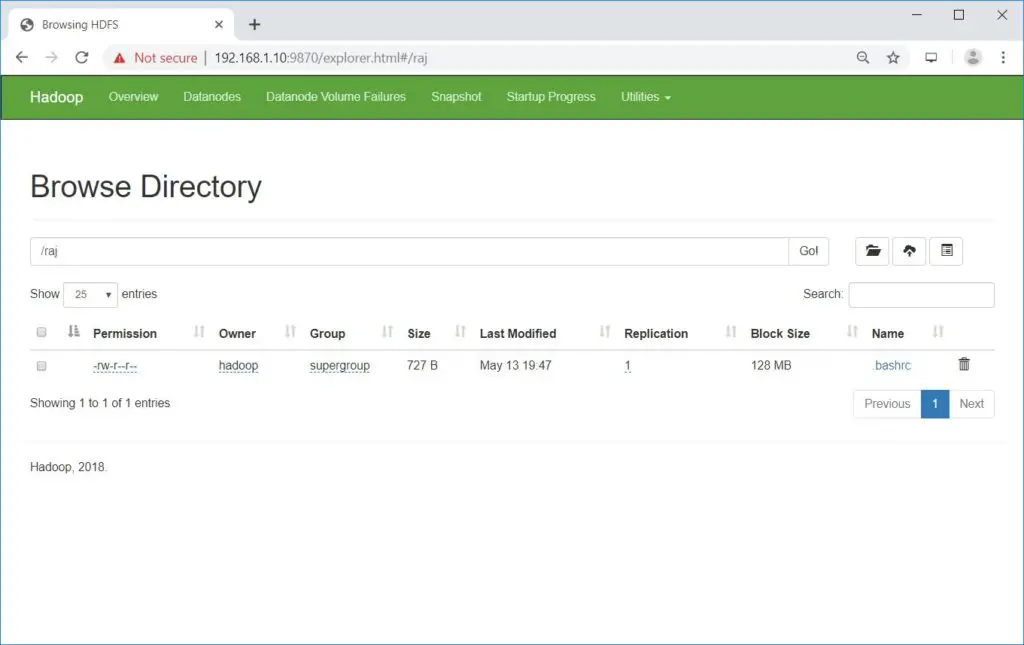 Install Apache Hadoop on RHEL 8 - Browse Hadoop FileSystem