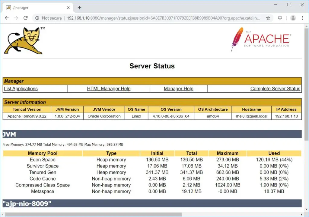 Install Apache Tomcat 9 on RHEL 8 - Tomcat Server Status