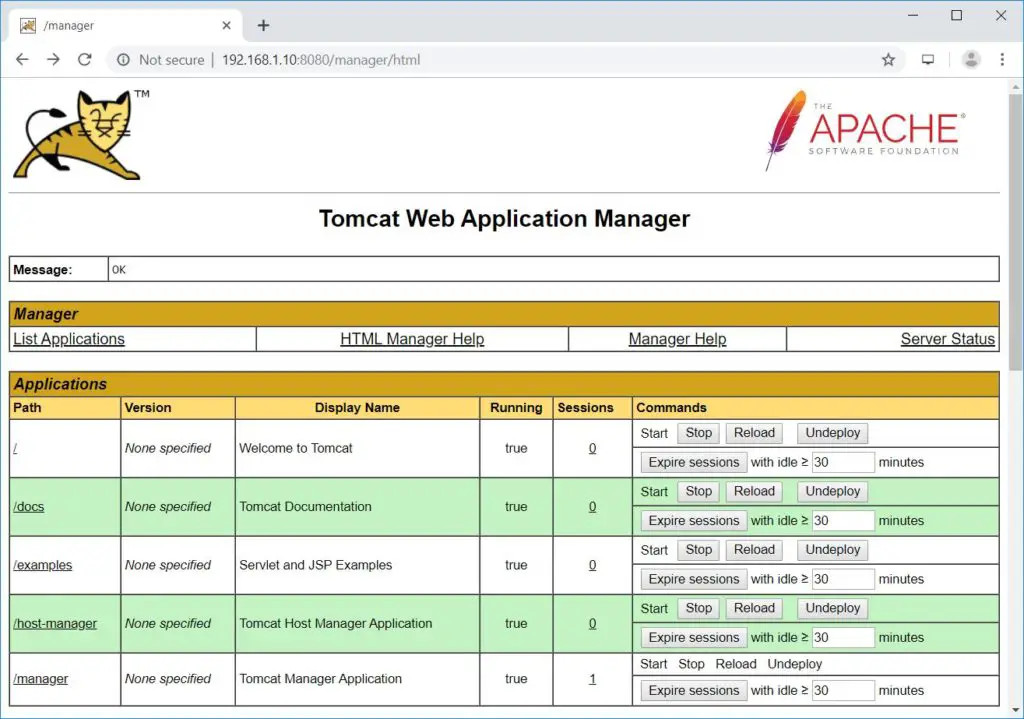 Install Apache Tomcat 9 on RHEL 8 - Tomcat Web Application Manager