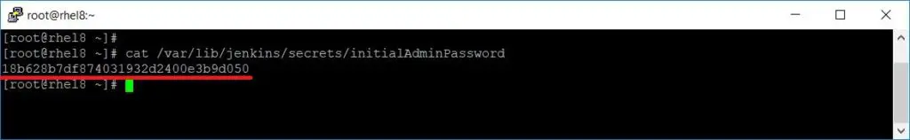 Initial Jenkins Admin Password