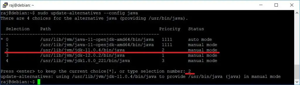 Install Oracle JDK on Debian 10 - Set Default Java Version