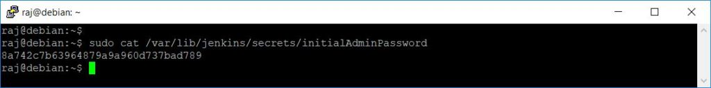 Jenkins Initial Admin Password
