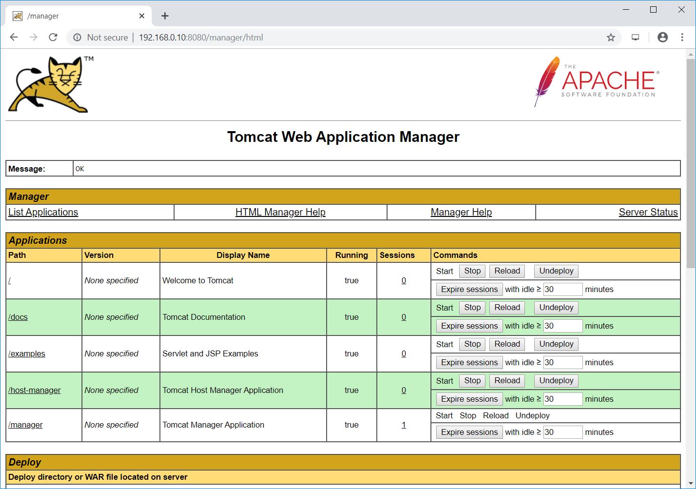 Tomcat Web Application Manager