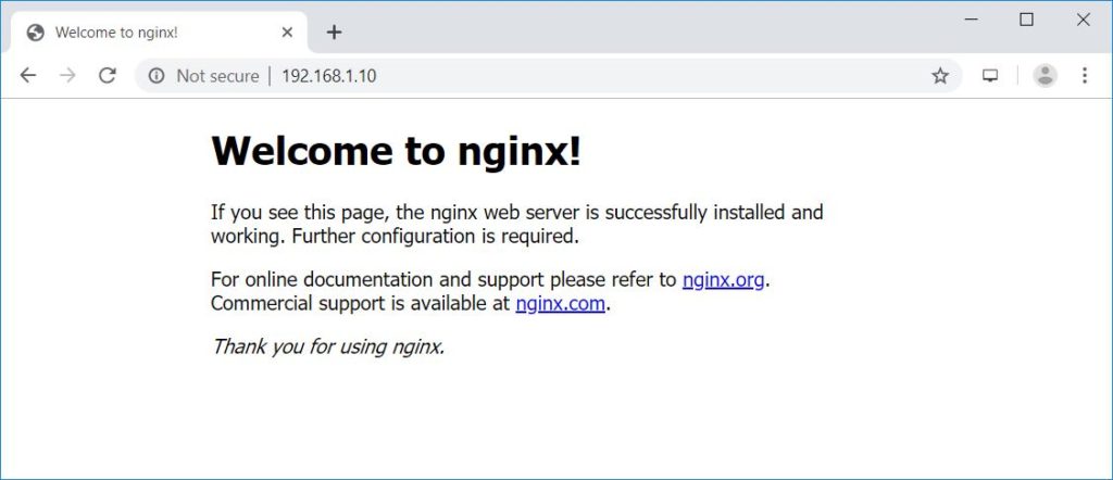 Nginx's Default Page