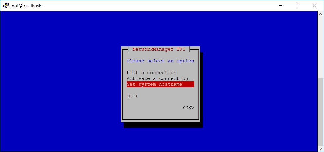 Set System Hostname