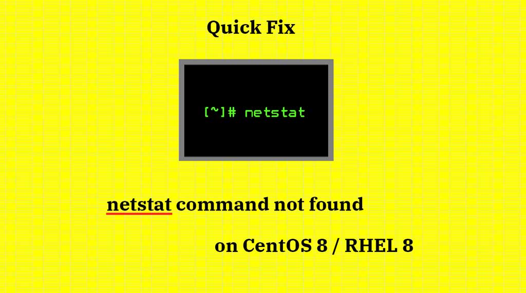 netstat command not found on CentOS 8