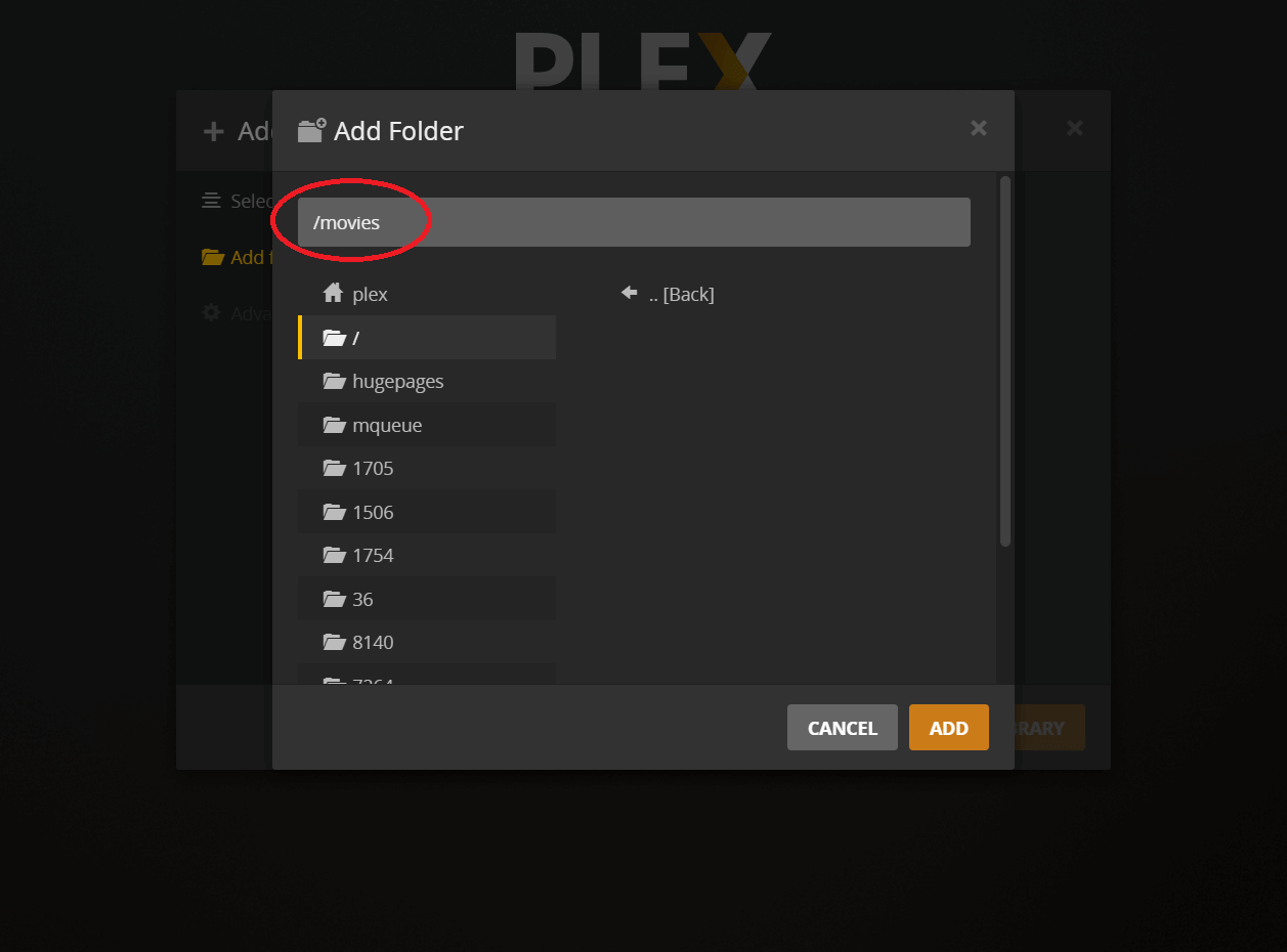 headleass plex media server ubuntu headleass plex media server ubuntu