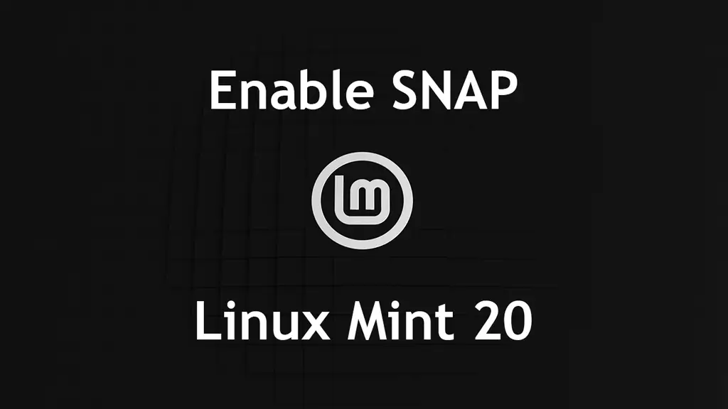 Enable Snap Package Manager On Linux Mint 20