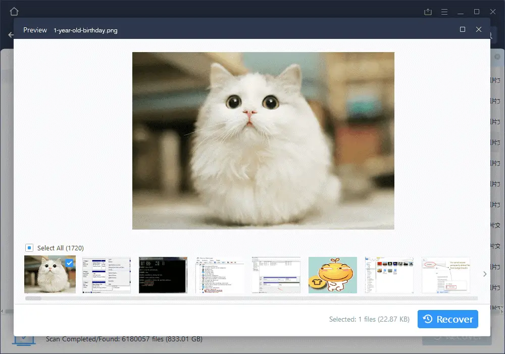 Preview & select the file