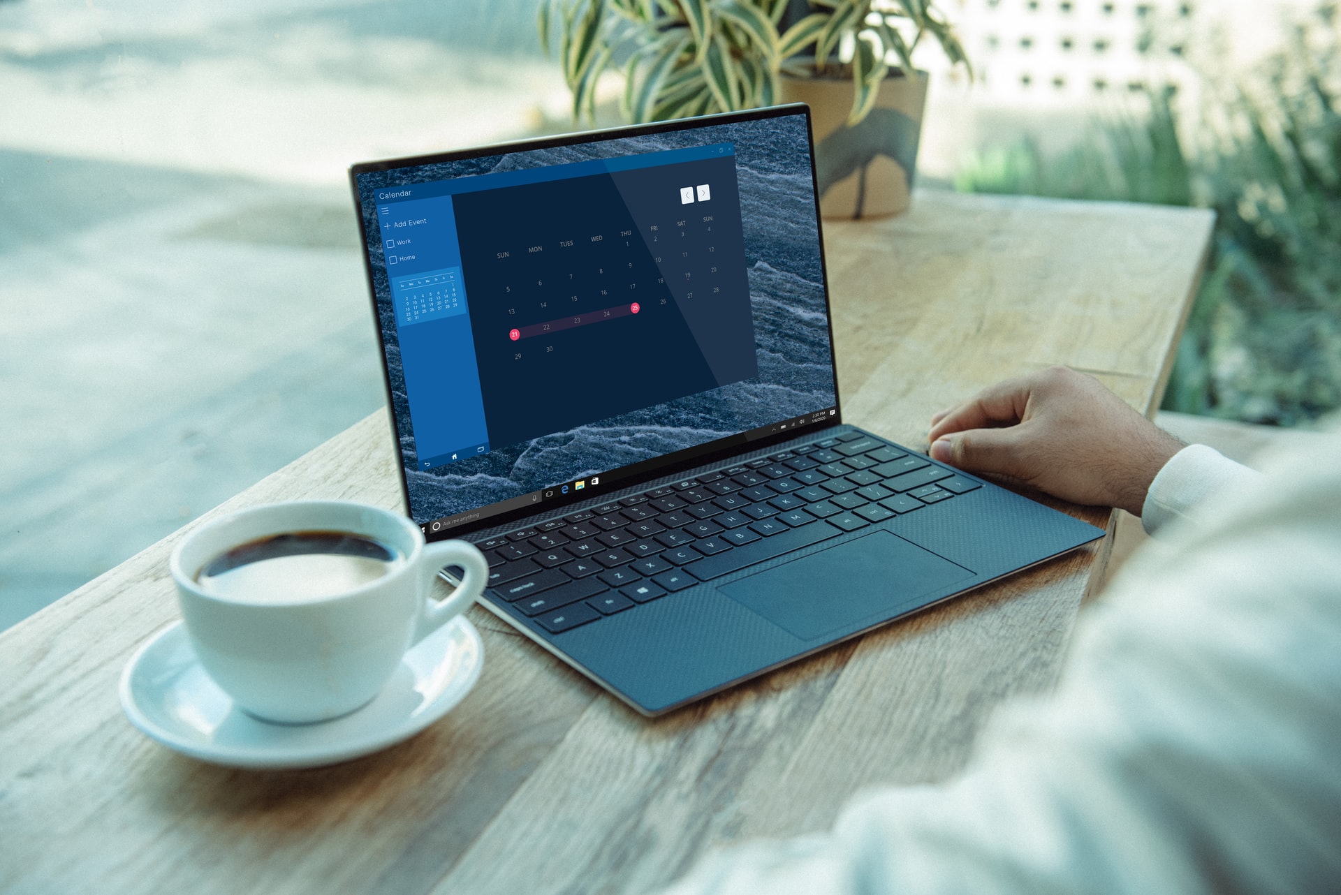 Web Development