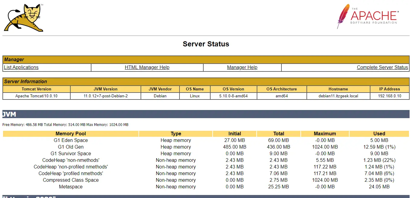 Tomcat Server Status