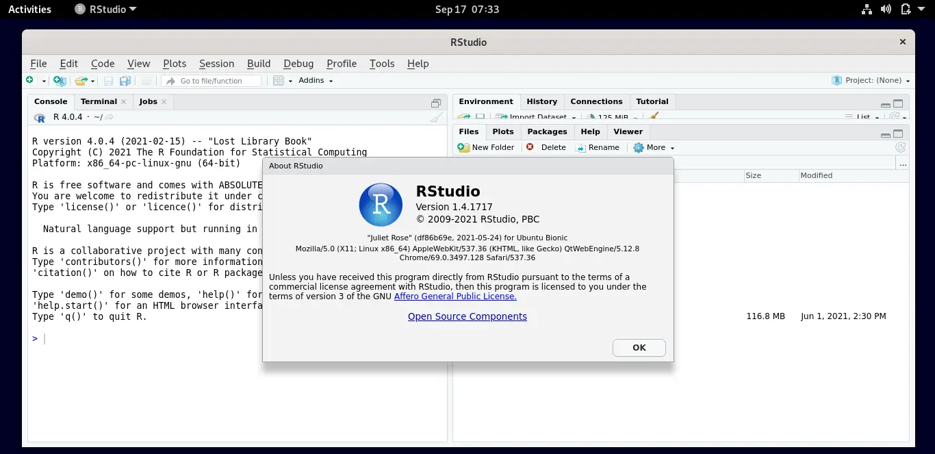 RStudio Running on Debian 11