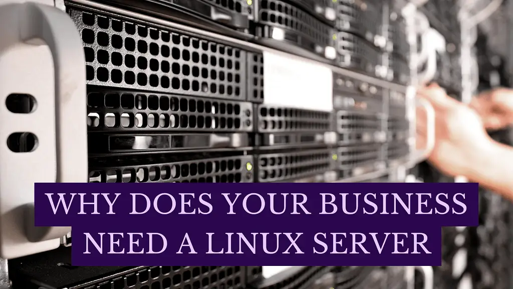 Why Does Your Business Need a Linux Server